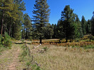 photo thumbnail #8