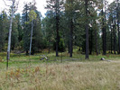 photo thumbnail #9