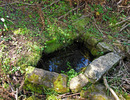 photo thumbnail #11