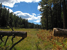 photo thumbnail #14