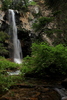 photo thumbnail #15