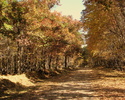 photo thumbnail #4