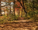 photo thumbnail #10