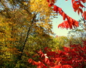 photo thumbnail #12