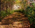 photo thumbnail #13