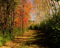 photo thumbnail #14