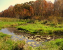 photo thumbnail #15