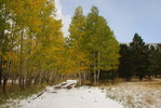 photo thumbnail #11