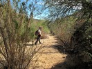 photo thumbnail #2
