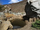 photo thumbnail #2