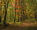 photo thumbnail #9