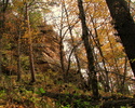 photo thumbnail #15