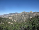 photo thumbnail #7