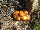 photo thumbnail #10