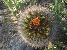 photo thumbnail #12