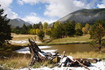 photo thumbnail #15