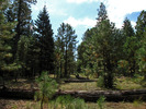 photo thumbnail #10