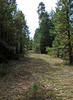 photo thumbnail #11