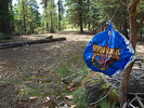 photo thumbnail #12