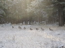 photo thumbnail #2