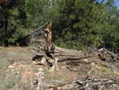 photo thumbnail #9