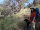 photo thumbnail #6