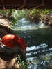 photo thumbnail #6