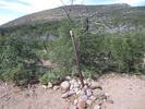 photo thumbnail #12