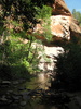 photo thumbnail #8