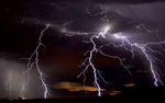 photo thumbnail #13