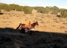 photo thumbnail #5