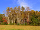 photo thumbnail #4