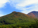 photo thumbnail #6