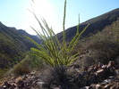 photo thumbnail #5