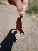 photo thumbnail #11