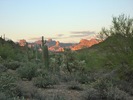 photo thumbnail #14