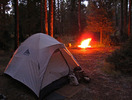 photo thumbnail #14