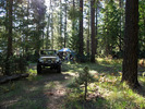 photo thumbnail #15