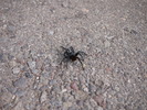 photo thumbnail #4