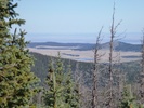 photo thumbnail #8