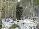 photo thumbnail #8