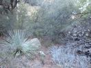 photo thumbnail #3