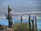 photo thumbnail #3