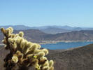 photo thumbnail #6