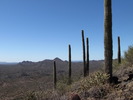 photo thumbnail #9