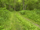 photo thumbnail #14