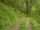 photo thumbnail #15