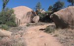 photo thumbnail #2