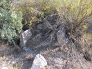 photo thumbnail #2