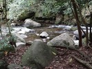 photo thumbnail #14